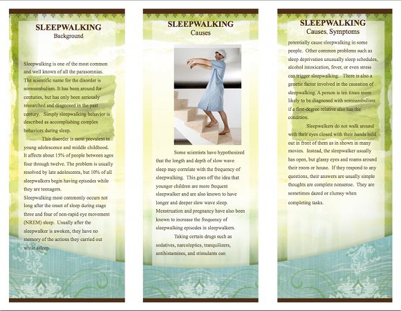 Sleepwalking Brochure, page 2